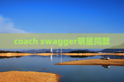 coach swagger明星同款